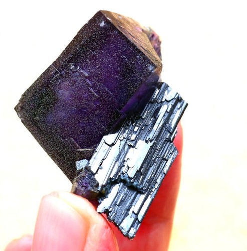 Natural purple phantom - natural,